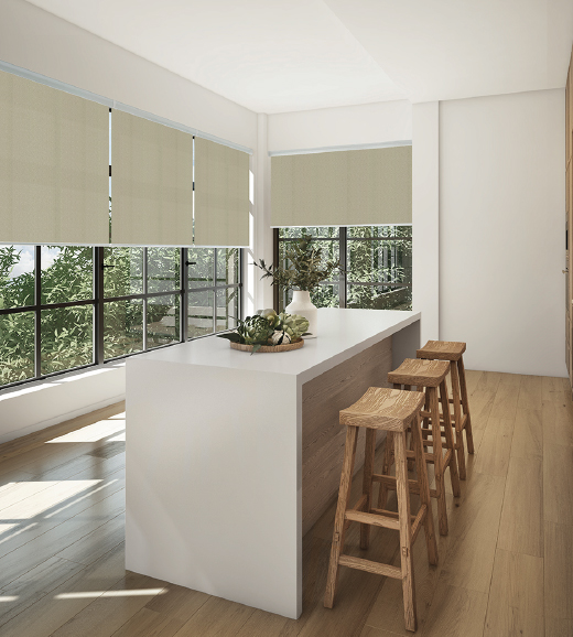 roller banner image 3