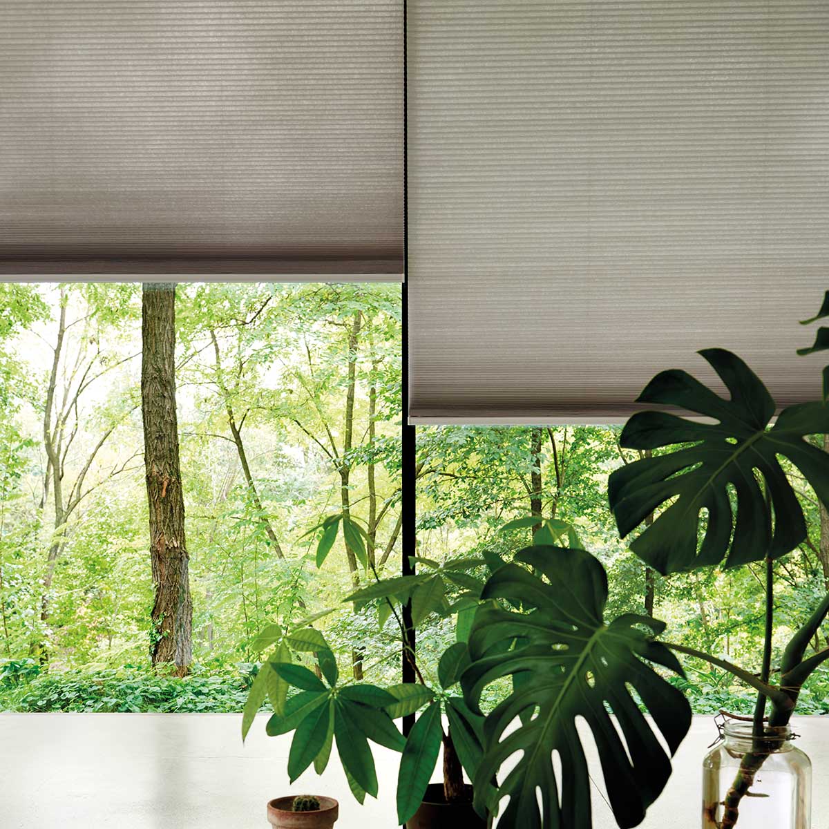 somfy blinds electric cellular