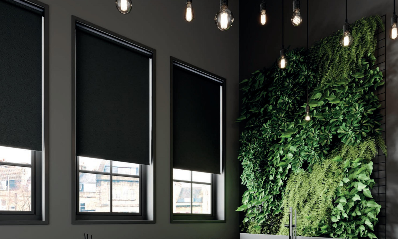 Latest trends for windows