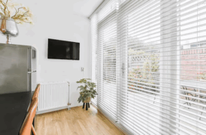 Window Shades